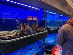 -金悦轩海鲜酒家(拱北店)