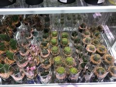 -KKV(深圳宏发大仟里店)