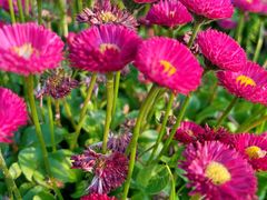 -苏州太湖国际会议中心