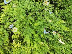 -杭州龙禧福朋喜来登酒店