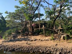 -清迈夜间动物园