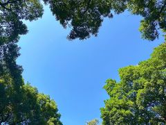 -荔湾湖公园