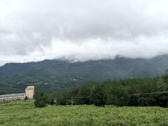 -镇龙山国家森林公园