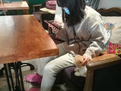 大堂-more than meow吴止猫主题餐厅(承德 中船汇店)