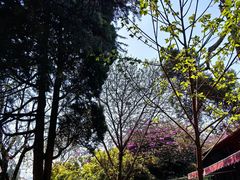 -巍山古城