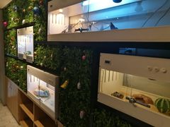-打趸BTC·Breaktime cafe(北京路店)