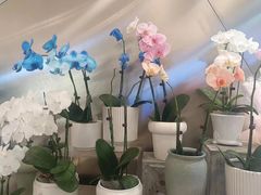 -花点时间(蓝色港湾店)