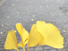 -海底捞火锅(正大乐城店)