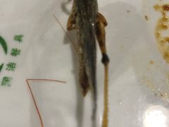 -夏家大锅台炖鱼馆