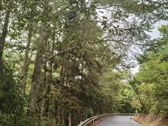 -四明山国家森林公园
