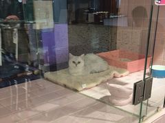 -FAELING PETS美天灵宠物(富力广场店)