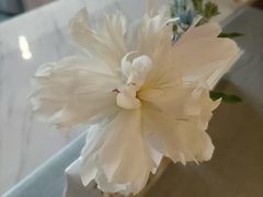 -南堂馆·新川菜(春熙路店)