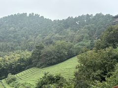 -敬亭山风景名胜区