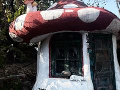 -荒度咖啡(北九水店)