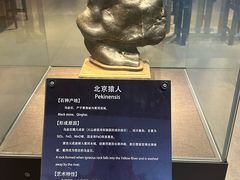-中华赏石园