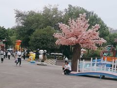-南湖梦幻岛