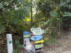 -华侨城湿地公园