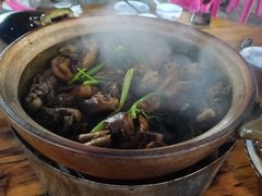 -霞姐屯昌枫木香草鸭店(海螺店)