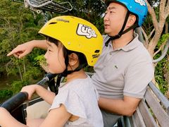 -圣淘沙天际线斜坡滑车