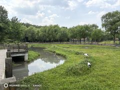 -哈尔滨北方森林动物园