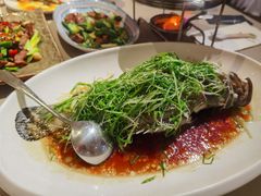 -T館·花园艺术餐厅