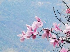 -九皇山景区