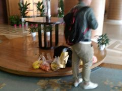 -文津国际酒店-大南门广式茶餐厅