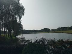 -旭宝高尔夫俱乐部