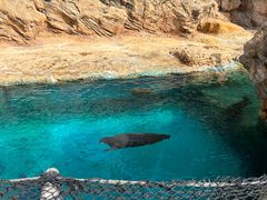 -珠海长隆海洋王国
