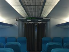 -龙阳路磁悬浮列车总站-停车场