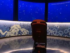 -沈阳海洋探索中心