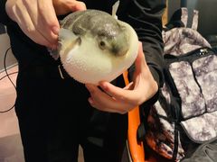 -肆月河豚·淮扬菜·湘菜(华天店)