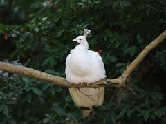 -杭州野生动物世界