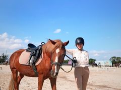 -松声马术俱乐部