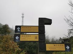 -千岛湖石林