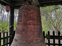 -合肥滨湖国家森林公园