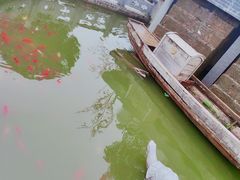 -武汉紫薇都市田园