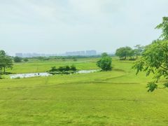 -盘龙城遗址博物院