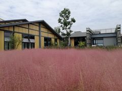 -中国天府农业博览园