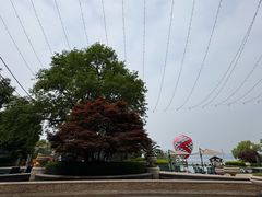 -绿城千岛湖喜来登度假酒店