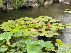 -东山雕花楼