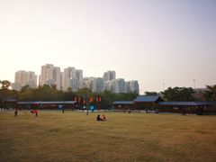 -聚龙山公园