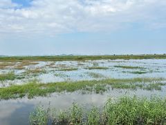 -崖口红树林海鲜餐厅