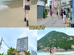 -Big Bus Tours 敞篷观光巴士