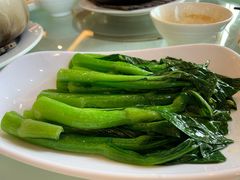 白灼菜心-新灿记大酒楼