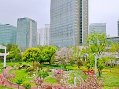 -龙华寺