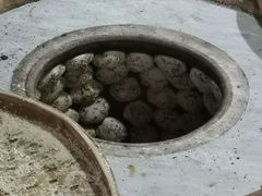-金莲葱饼
