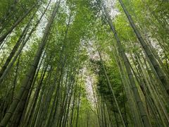 -鸡枕山