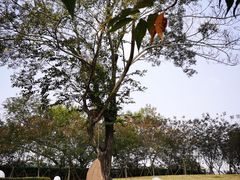 -福建鲤鱼洲酒店