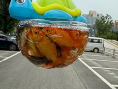 -风云再起游乐汇(南京常发广场店)